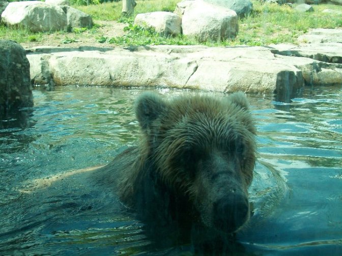 Minnesota Zoo