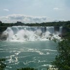 Buffalo