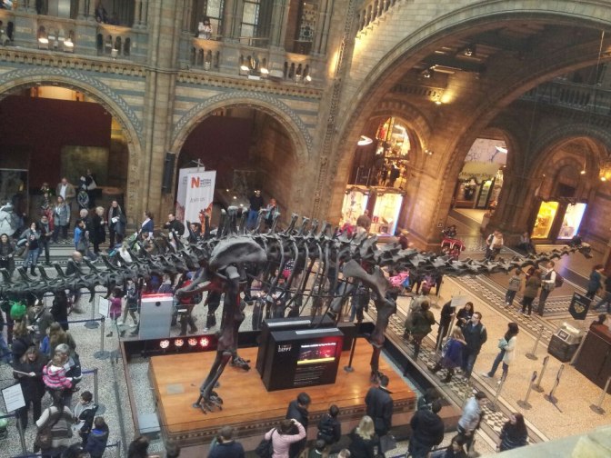 The National History Museum