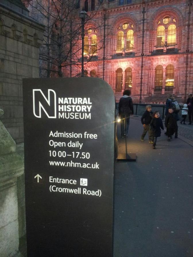 The National History Museum