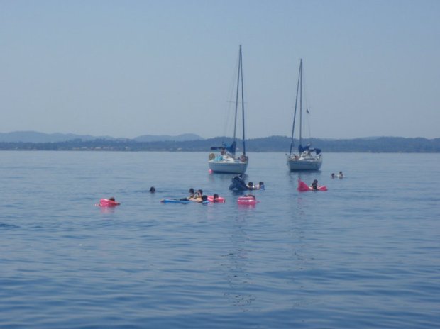 36818_423573948886_5896973_n