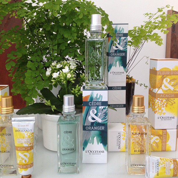 L'OCCITANE products