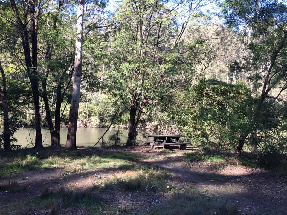 Half Way Point picnic ground