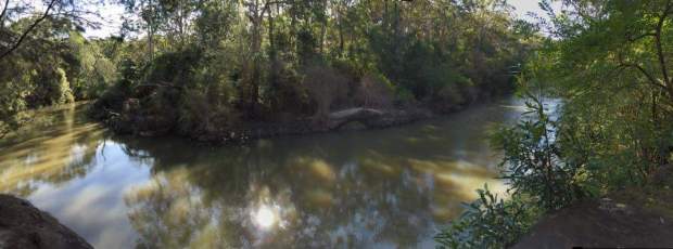 Lane Cove River