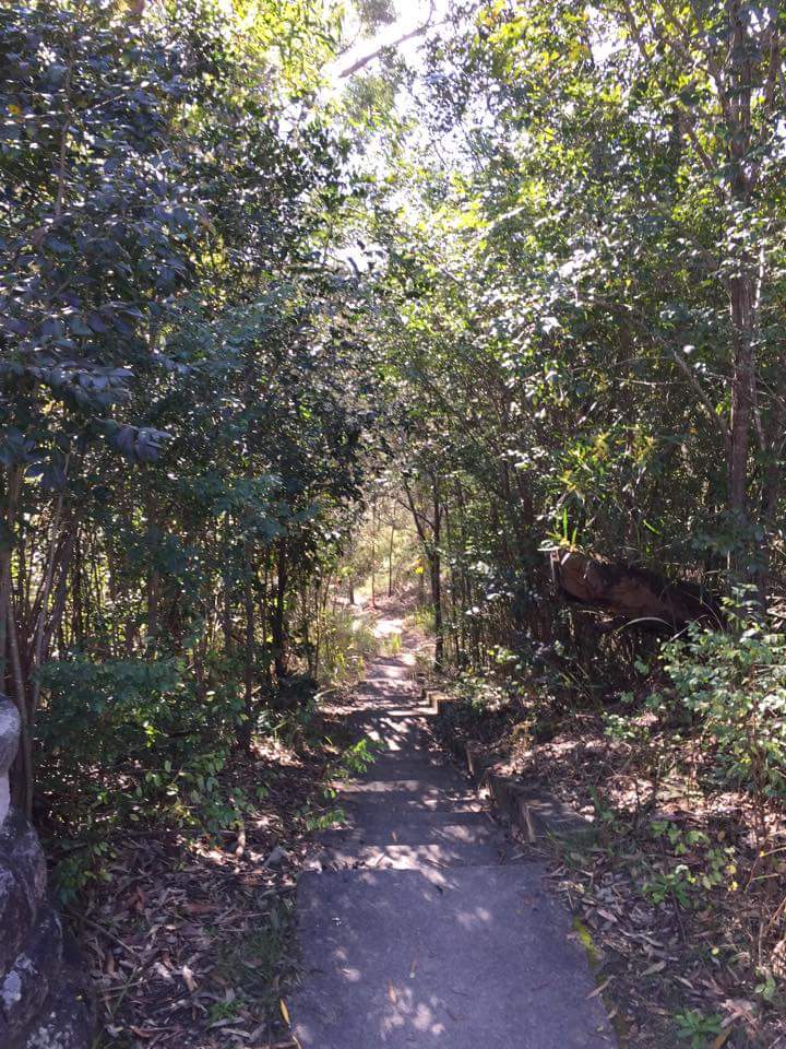 Riverside Walking Track