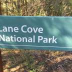 Lane Cove Riverside Walking Track
