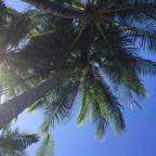 Trinity Beach, Cairns