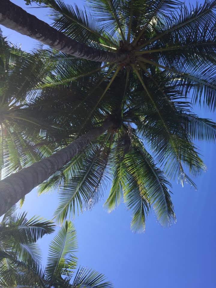 Trinity Beach, Cairns