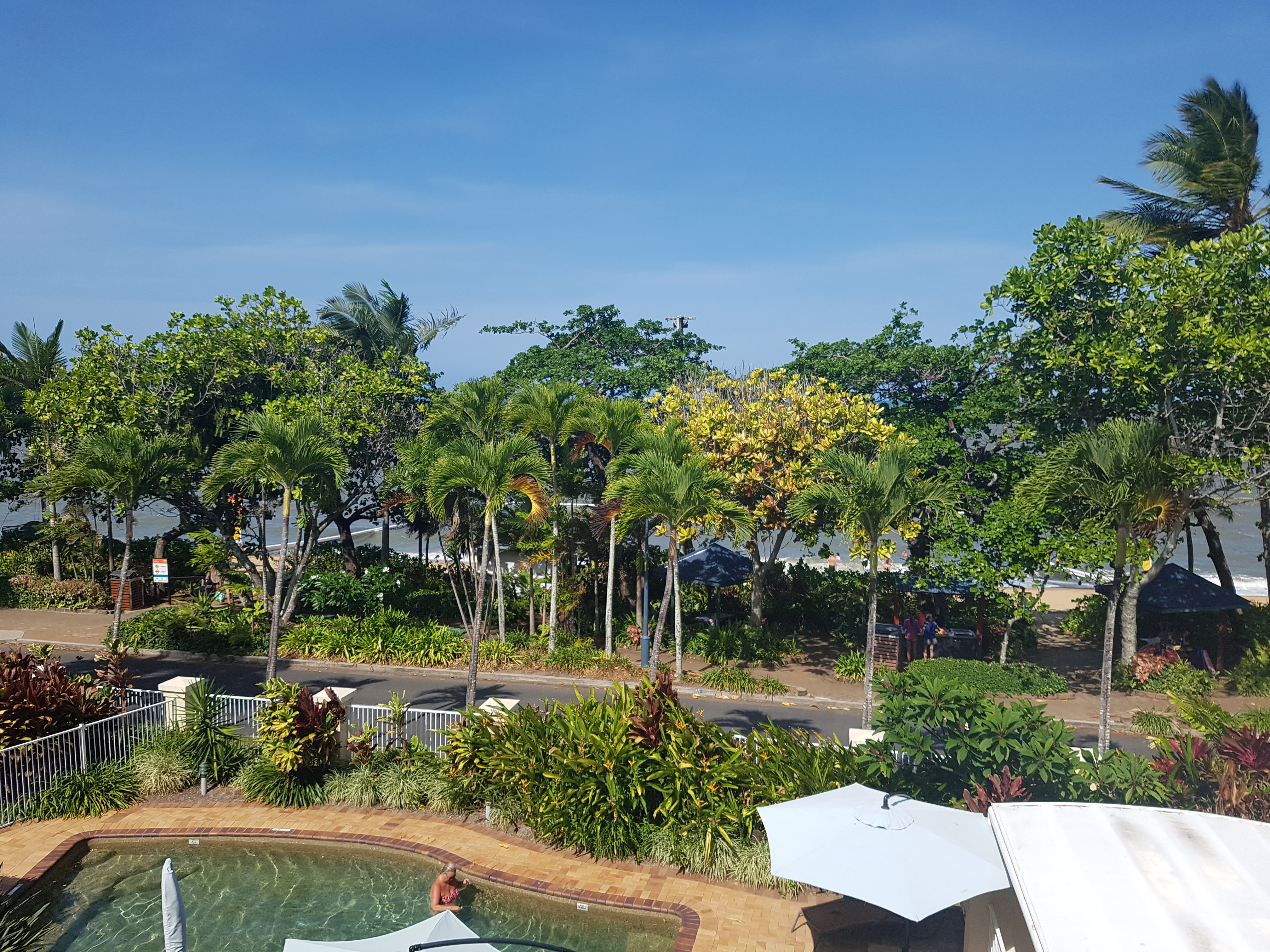 wp-1481355567918.jpg