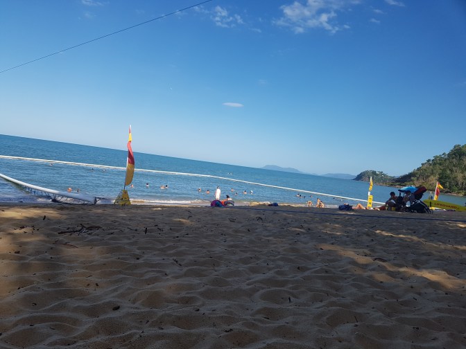 wp-1481355582025.jpg