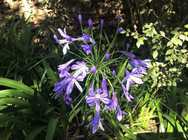 17796139_10211934146530799_8520180496066729469_n