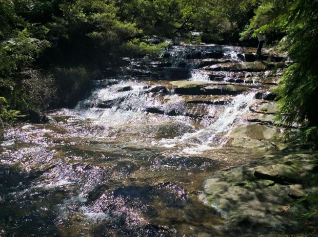 17796529_10211934197692078_747726628936981226_n