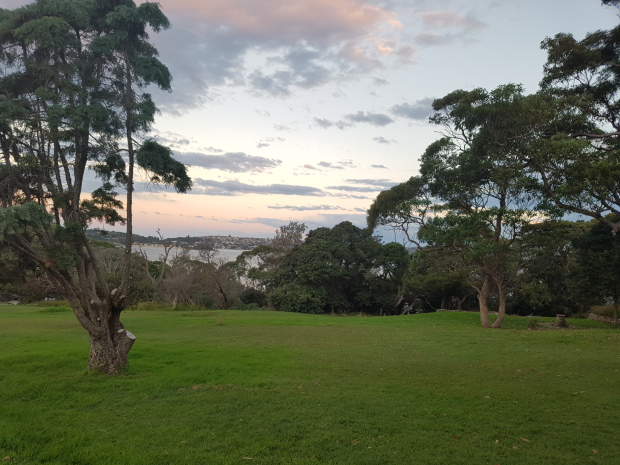 burnt orange mosman 2.jpg