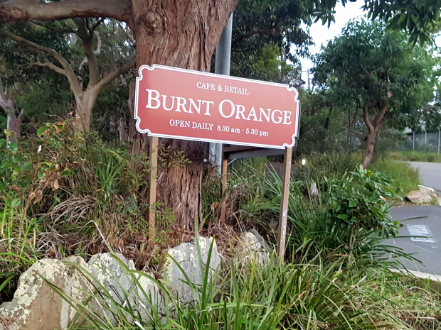 burnt orange mosman.jpg