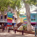 Palm Cove, Cairns