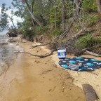 Secret Swimming Spots on Sydney’s Lower North Shore