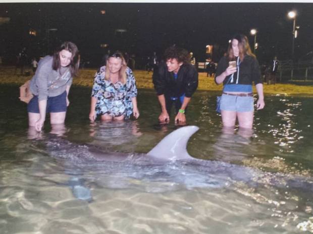 32381219_1934722816618313_7456134109996253184_n