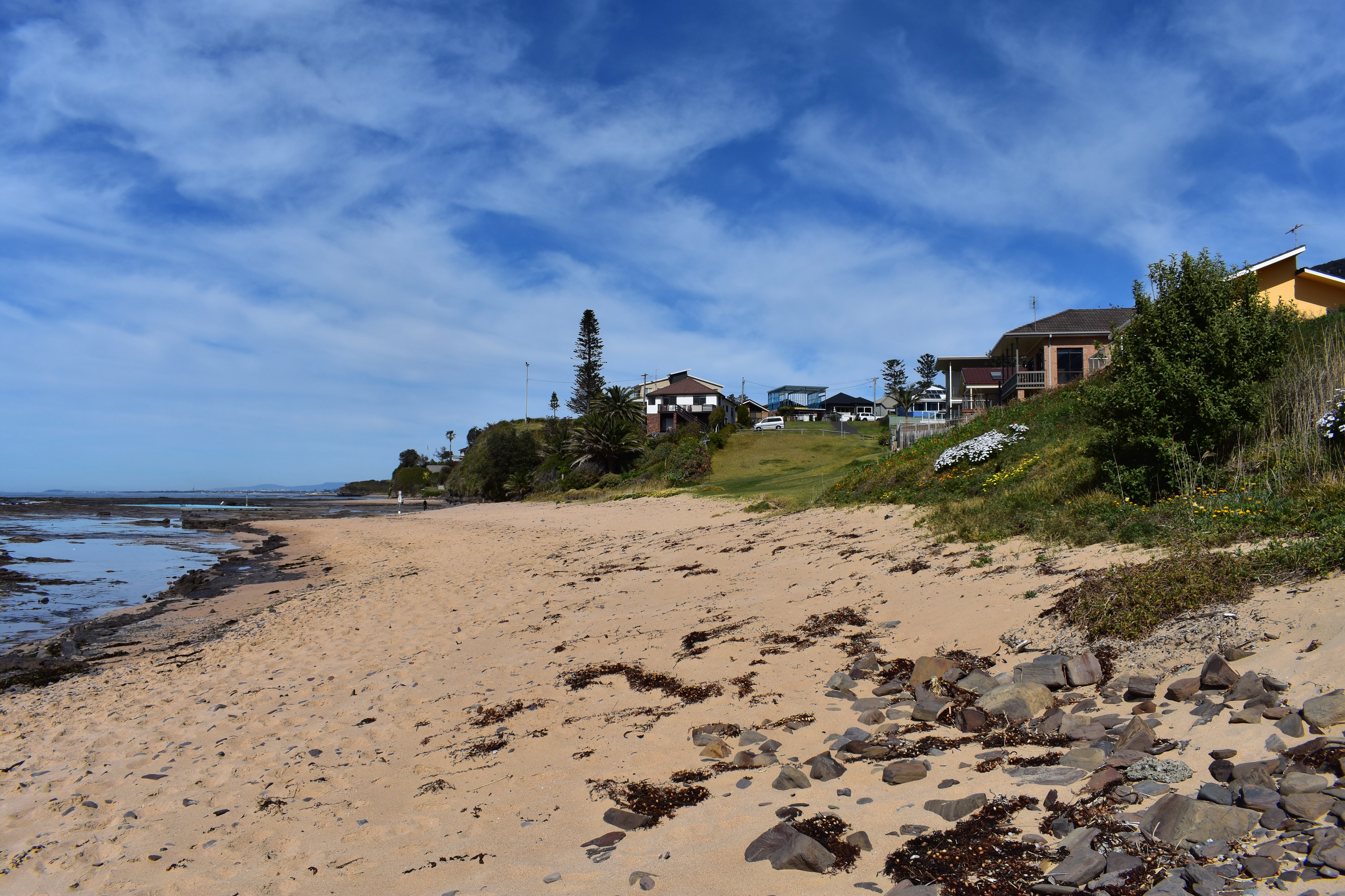 DSC_0402 (2)