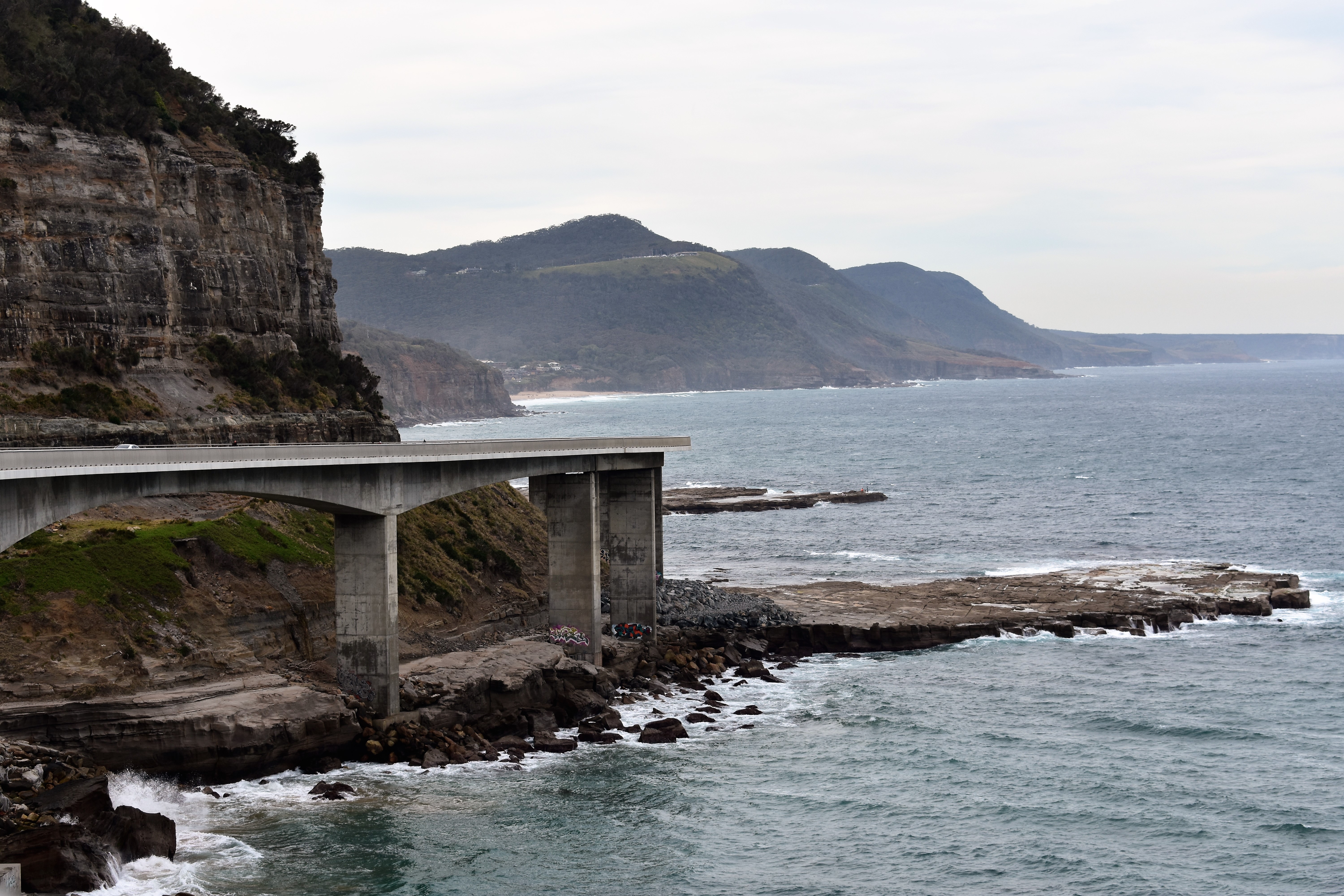 DSC_0422 (2)