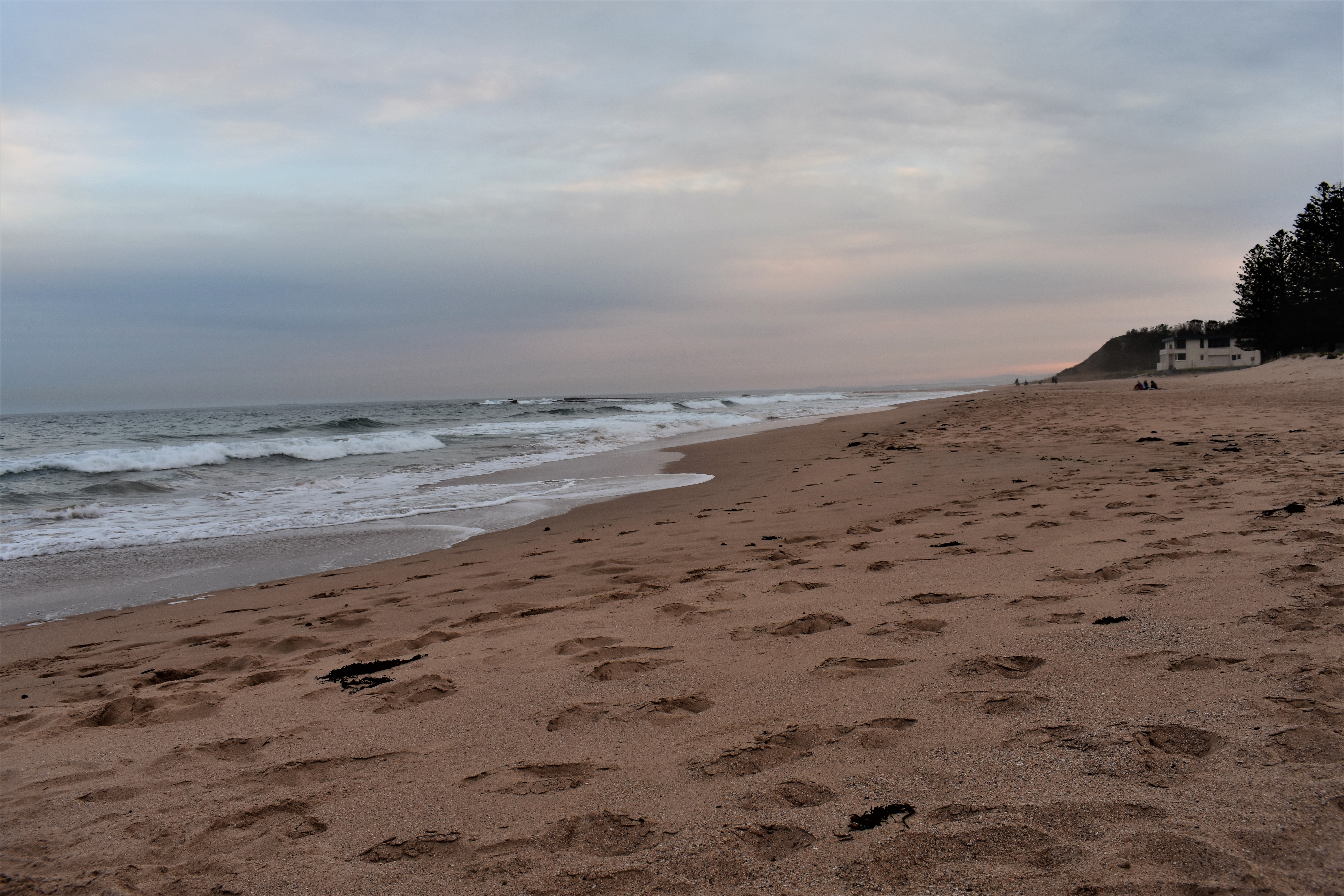 DSC_0458 (2)