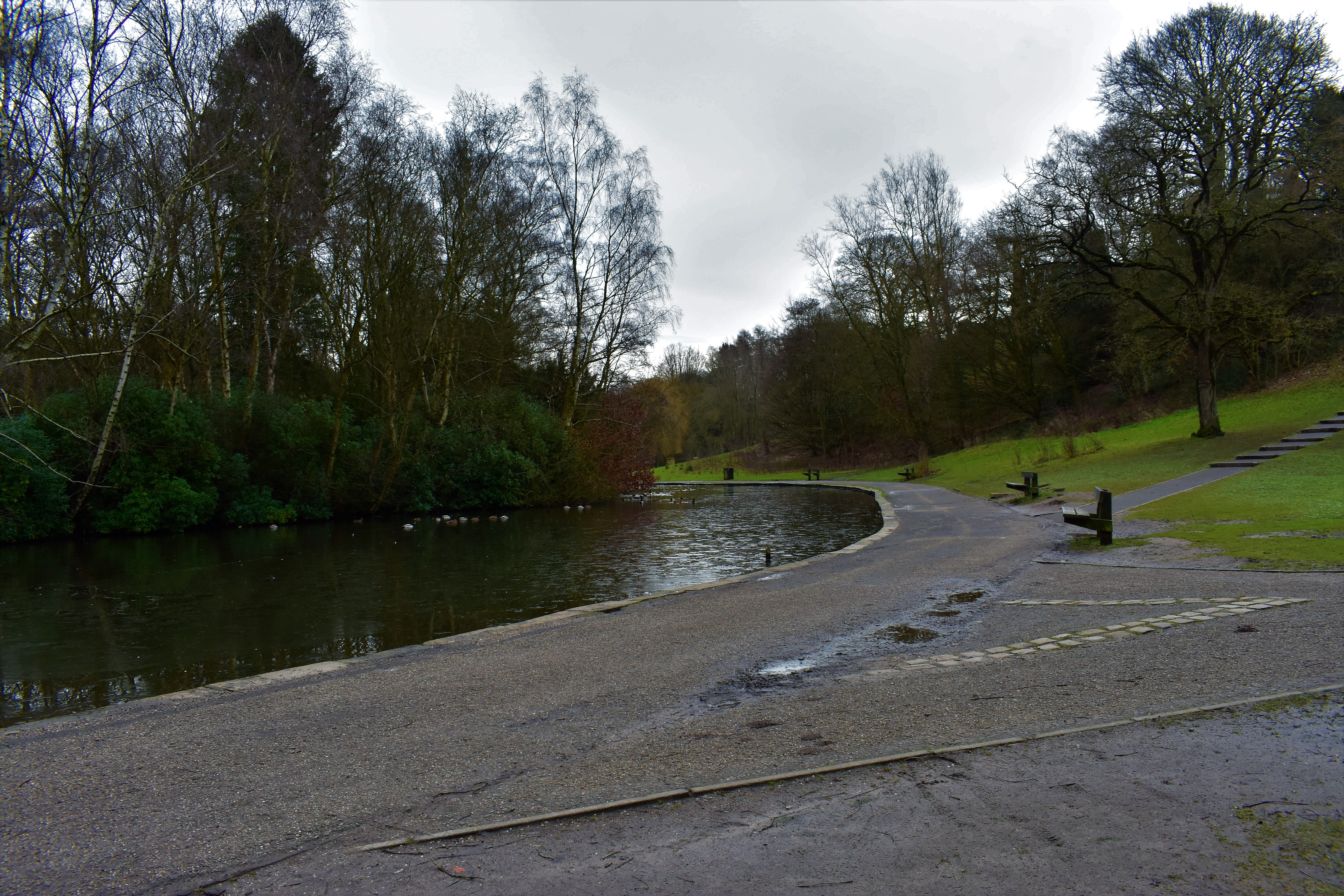dsc_0516 (2)