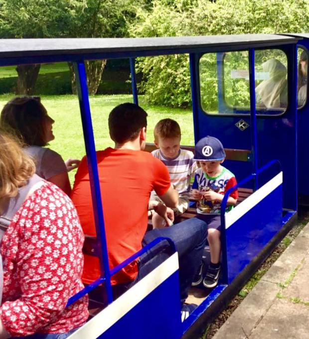 64919795_10218570076224894_2170282519818141696_n