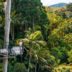A Weekend in Tamborine Mountain