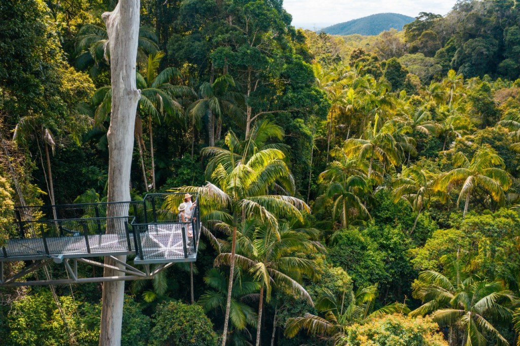 A Weekend in Tamborine&nbsp;Mountain