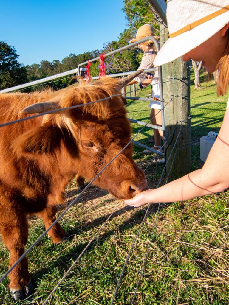 Thirlstane Farm, Noosa